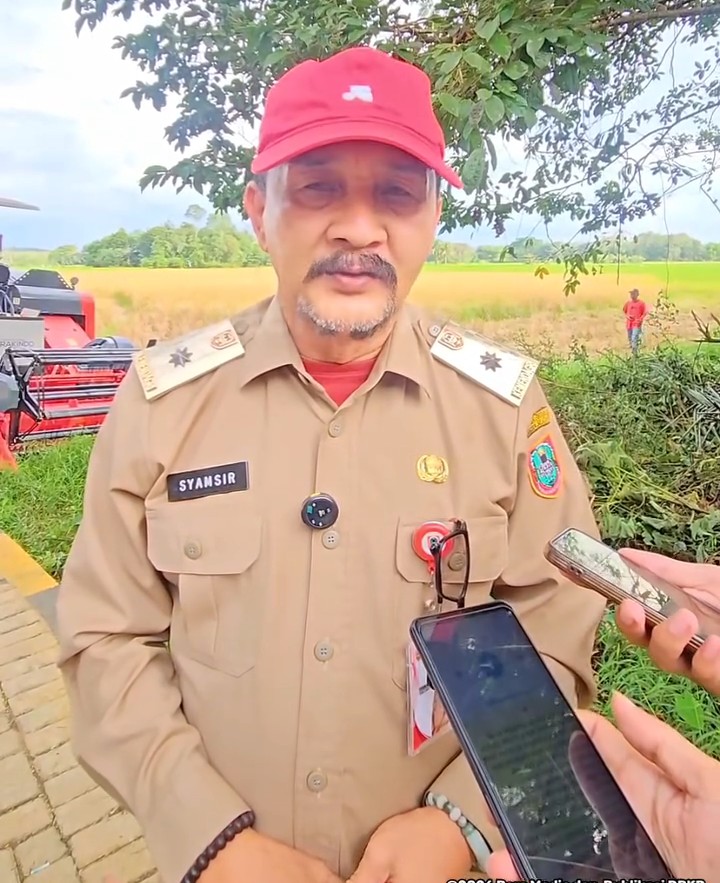 Dukung Program KSPEAN,DPKP Kalsel dan Wakil Menteri Koordinator Bidang Pangan Lakukan Panen Padi di HSS
