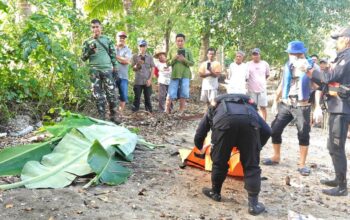 Nelayan Hilang di Laut Senakin Akhirnya Ditemukan, SAR Tutup Operasi Pencarian Nelayan Hilang di Laut Senakin Akhirnya Ditemukan, SAR Tutup Operasi Pencarian