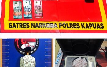 Diduga Edarkan Sabu, Seorang IRT Diamankan Polisi