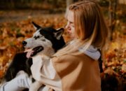 Sering Dianggap Mirip Serigala, Ini Fakta Menarik tentang Anjing Husky Sering Dianggap Mirip Serigala, Ini Fakta Menarik tentang Anjing Husky