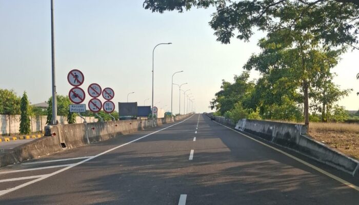 Fisik Rampung 100%, Pelindo Sinergi Lokaseva Group Kawal Persiapan Pra-Operasi Fly Over Teluk Lamong untuk Kelancaran Logistik Jawa Timur