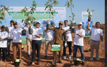Pemko-Pelindo Tanam Ribuan Pohon di TPA Basirih Pemko-Pelindo Tanam Ribuan Pohon di TPA Basirih