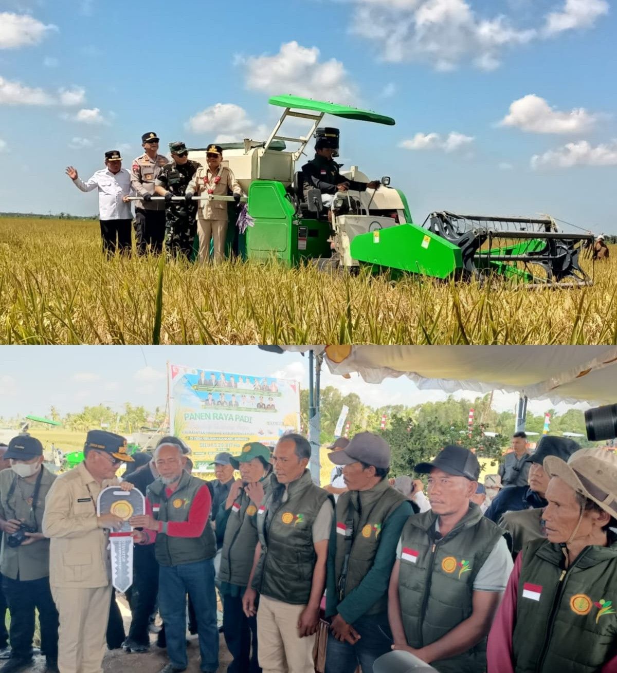 Kapuas Teguhkan Posisi Lumbung Padi Nasional: Panen Raya 25.817 Hektare, Harga Gabah Lampaui HPP