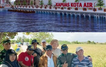8 Juli Mendatang: Kapuas Gelar Dua Agenda Besar Sekaligus – Panen Raya Padi & Peluncuran Pembangunan Waterfront City