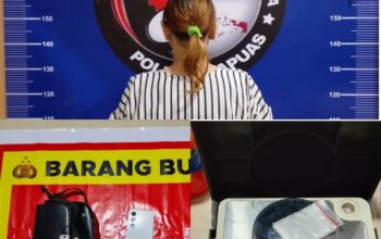 Diduga Terlibat Peredaran Sabu, IRT di Kapuas Diamankan Satresnarkoba