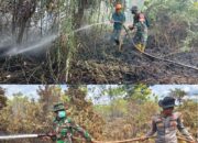 Tim Siaga Karhutla Kodim 1016/Plk Bergerak Cepat Padamkan Api