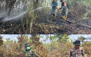 Tim Siaga Karhutla Kodim 1016/Plk Bergerak Cepat Padamkan Api