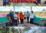 Waspada Puncak Kemarau Akhir September, BPBD Kapuas Latih Petugas Karhutla Bersama PT Lifere Agro Kapuas Waspada Puncak Kemarau Akhir September, BPBD Kapuas Latih Petugas Karhutla Bersama PT Lifere Agro Kapuas