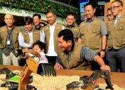 100 Santri Ikut Merasakan Kemeriahan Junior Miners Fun Fest 2026 100 Santri Ikut Merasakan Kemeriahan Junior Miners Fun Fest 2026