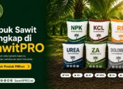 SawitPRO Hadirkan Pilihan Pupuk Sawit Lengkap untuk Kebutuhan Petani dan Perkebunan SawitPRO Hadirkan Pilihan Pupuk Sawit Lengkap untuk Kebutuhan Petani dan Perkebunan