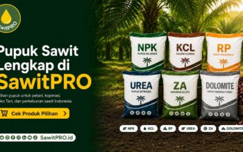SawitPRO Hadirkan Pilihan Pupuk Sawit Lengkap untuk Kebutuhan Petani dan Perkebunan SawitPRO Hadirkan Pilihan Pupuk Sawit Lengkap untuk Kebutuhan Petani dan Perkebunan