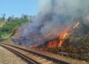 Musim Kemarau, KAI Daop 2 Bandung Himbau Masyarakat Tidak Membakar dan Membuang Sampah Sembarangan di Sekitar Jalur Rel Musim Kemarau, KAI Daop 2 Bandung Himbau Masyarakat Tidak Membakar dan Membuang Sampah Sembarangan di Sekitar Jalur Rel