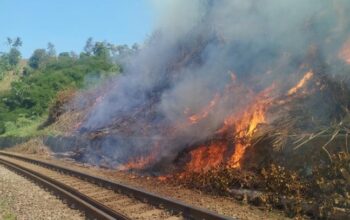 Musim Kemarau, KAI Daop 2 Bandung Himbau Masyarakat Tidak Membakar dan Membuang Sampah Sembarangan di Sekitar Jalur Rel Musim Kemarau, KAI Daop 2 Bandung Himbau Masyarakat Tidak Membakar dan Membuang Sampah Sembarangan di Sekitar Jalur Rel