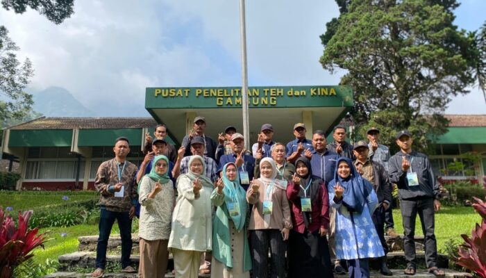 Holding Perkebunan Nusantara Perkuat Kompetensi Petani melalui Kelas Budidaya Teh