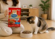 Dry Food Kucing yang Bagus untuk Kesehatan dan Nutrisi Anabul