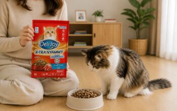 Dry Food Kucing yang Bagus untuk Kesehatan dan Nutrisi Anabul