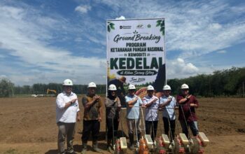 PTPN IV PalmCo Matangkan Pilot Project Kedelai Dukung Percepatan Swasembada Pangan Nasional PTPN IV PalmCo Matangkan Pilot Project Kedelai Dukung Percepatan Swasembada Pangan Nasional