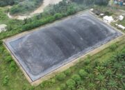 Holding Perkebunan Nusantara Tegaskan Komitmen Net Zero Emission Lewat Pemanfaatan Limbah PKS Sei Tapung Holding Perkebunan Nusantara Tegaskan Komitmen Net Zero Emission Lewat Pemanfaatan Limbah PKS Sei Tapung