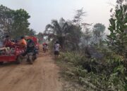 Satgas Karhutla Kodim 1016/Palangka Raya Bergerak Cepat Padamkan Api di Tanjung Pinang