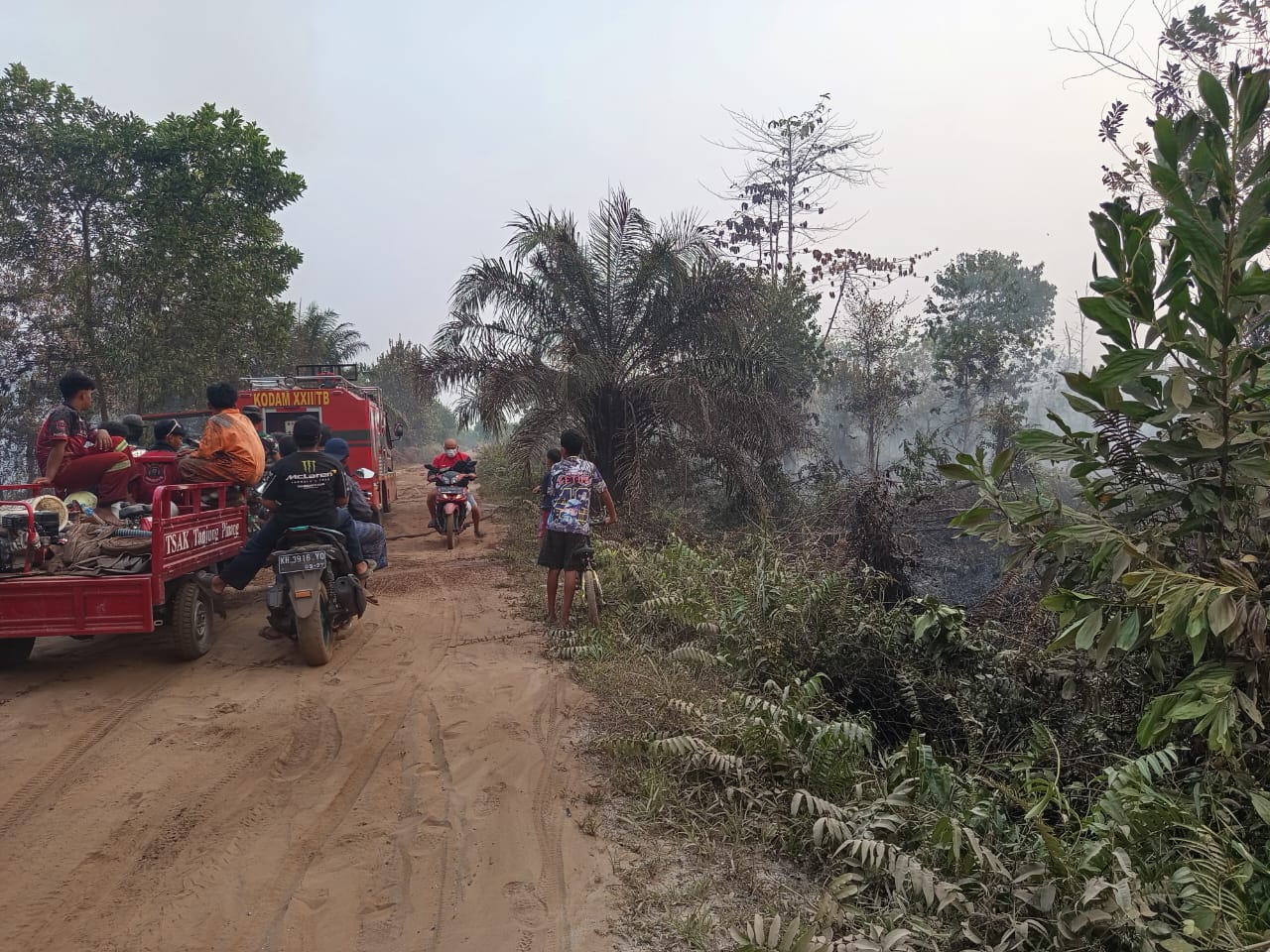 Satgas Karhutla Kodim 1016/Palangka Raya Bergerak Cepat Padamkan Api di Tanjung Pinang