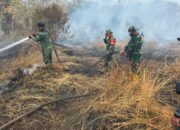 Cegah Karhutla Meluas, Satgas Siaga Karhutla Kodim 1016/Plk Terus Padamkan Api Cegah Karhutla Meluas, Satgas Siaga Karhutla Kodim 1016/Plk Terus Padamkan Api
