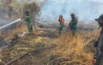 Cegah Karhutla Meluas, Satgas Siaga Karhutla Kodim 1016/Plk Terus Padamkan Api Cegah Karhutla Meluas, Satgas Siaga Karhutla Kodim 1016/Plk Terus Padamkan Api