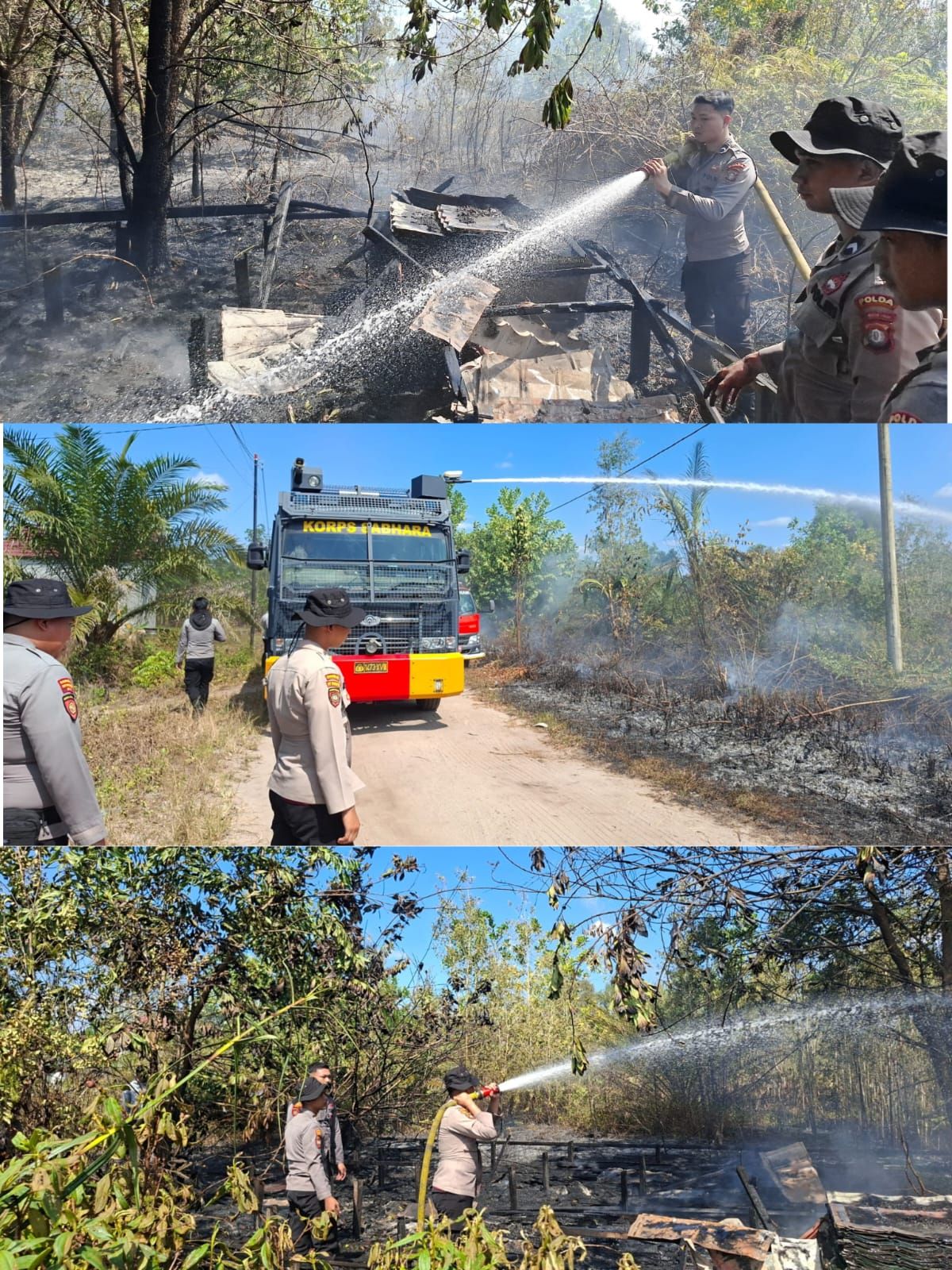 Sigap Merespons Laporan Warga, Ditsamapta Polda Kalteng Padamkan Kebakaran Lahan