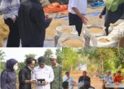 Pemkab Kapuas Bersama Kementan RI Lakukan Monev Kawasan Pertanian dan Tinjau Lokasi Mobile Rice Unit