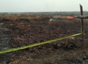 Diduga Bakar Lahan, Polres Hulu Sungai Selatan Amankan Pelaku