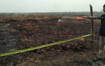 Diduga Bakar Lahan, Polres Hulu Sungai Selatan Amankan Pelaku