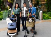 Main Bareng Anabul Di Grand Galaxy Park yang Cat Friendly Main Bareng Anabul Di Grand Galaxy Park yang Cat Friendly
