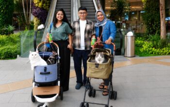 Main Bareng Anabul Di Grand Galaxy Park yang Cat Friendly Main Bareng Anabul Di Grand Galaxy Park yang Cat Friendly