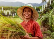 IDX, BRIDS, dan IIX Perkuat Ekosistem Obligasi Tematik untuk Mengembangkan Potensi Pasar Senilai Rp7.800 Triliun