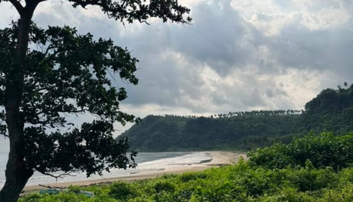 Lampung Selatan Jadi Lokasi Relawan Bakti BUMN 2026, PTPN Group dan InJourney Group Siap Bersinergi