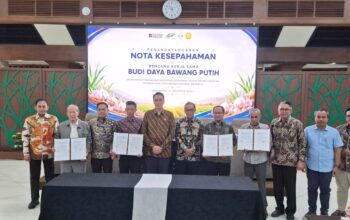 PTPN Group Akselerasi Swasembada Bawang Putih Nasional PTPN Group Akselerasi Swasembada Bawang Putih Nasional