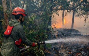 Anggota Komisi VIII DPRRI Meminta Pemerintah Perhatikan Keselamatan Relawan Karhutla