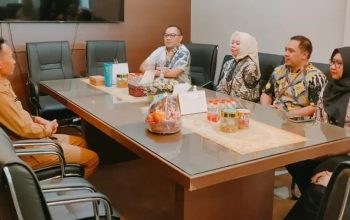 KKPD dan Sistem Keuangan Desa Jadi Bahasan, Bank Kalsel Perkuat Sinergi dengan Batola