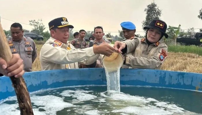 Bupati Batola Jajal Surfaktan untuk Padamkan Karhutla hingga Bawah Tanah