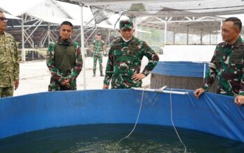 Pangdam XXII/Tambun Bungai Tinjau Langsung Karhutla di Sei Gohong