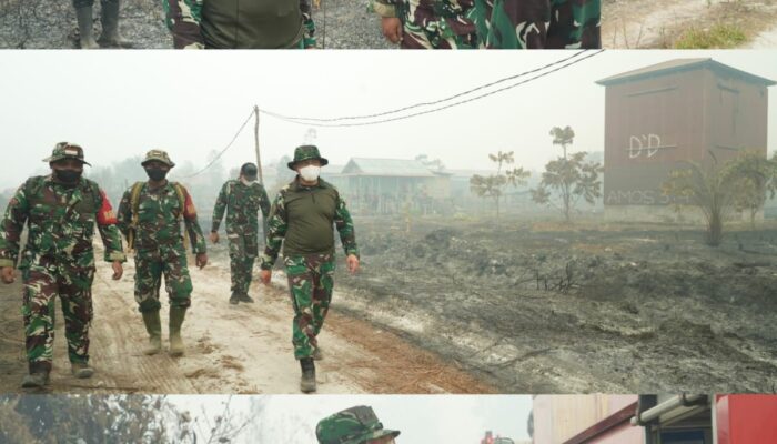 Pangdam XXII/Tambun Bungai Tinjau Langsung Karhutla di TWA Galeget Tiawu