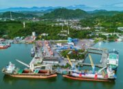 Sejumlah Komoditas Tumbuh Positif, Pelindo Multi Terminal Branch Lembar Catat kenaikan Produksi Semester I 2026