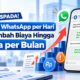 100 Chat WhatsApp per Hari Bisa Tambah Biaya hingga Rp5 Juta per Bulan?