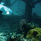 Bathymetry Survey dengan ROV: Cara Memetakan Dasar Perairan Secara Akurat