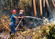 Antisipasi Karhutla, Holding perkebunan Nusantara melalui PTPN IV PalmCo Perkuat Deteksi Dini dan Patroli di Sumatera-Kalimantan