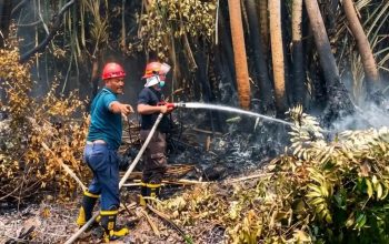 Antisipasi Karhutla, Holding perkebunan Nusantara melalui PTPN IV PalmCo Perkuat Deteksi Dini dan Patroli di Sumatera-Kalimantan