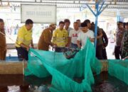 Sinergi Pemda Halmahera Utara dan NHM Peduli: Dorong Kemandirian Pangan Melalui Sukses Budidaya Bioflok BUMDes Sadaka Farm