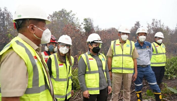 Tegaskan Tanggung Jawab Keberlanjutan, Grup MIND ID Perkuat Penanganan Dampak Karhutla