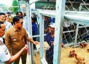 Karya Warga Binaan Lapas IIA Banjarmasin Tuai Pujian dari Wali Kota Karya Warga Binaan Lapas IIA Banjarmasin Tuai Pujian dari Wali Kota