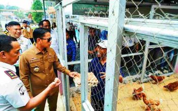 Karya Warga Binaan Lapas IIA Banjarmasin Tuai Pujian dari Wali Kota Karya Warga Binaan Lapas IIA Banjarmasin Tuai Pujian dari Wali Kota