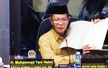 DPRD Kalsel Desak Program Pemulihan Hutan Pascakarhutla, Jangan Hanya Fokus Padamkan Api